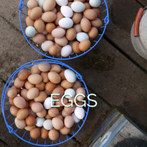Baskets of Eggs